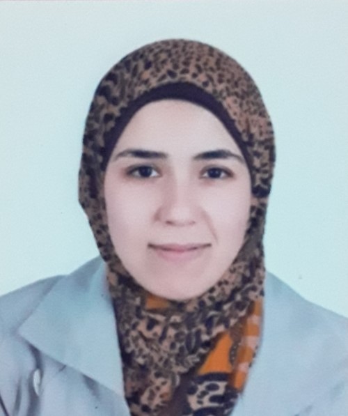 Sara Abdelaziz Mohammed Elsayed Elsharkawy